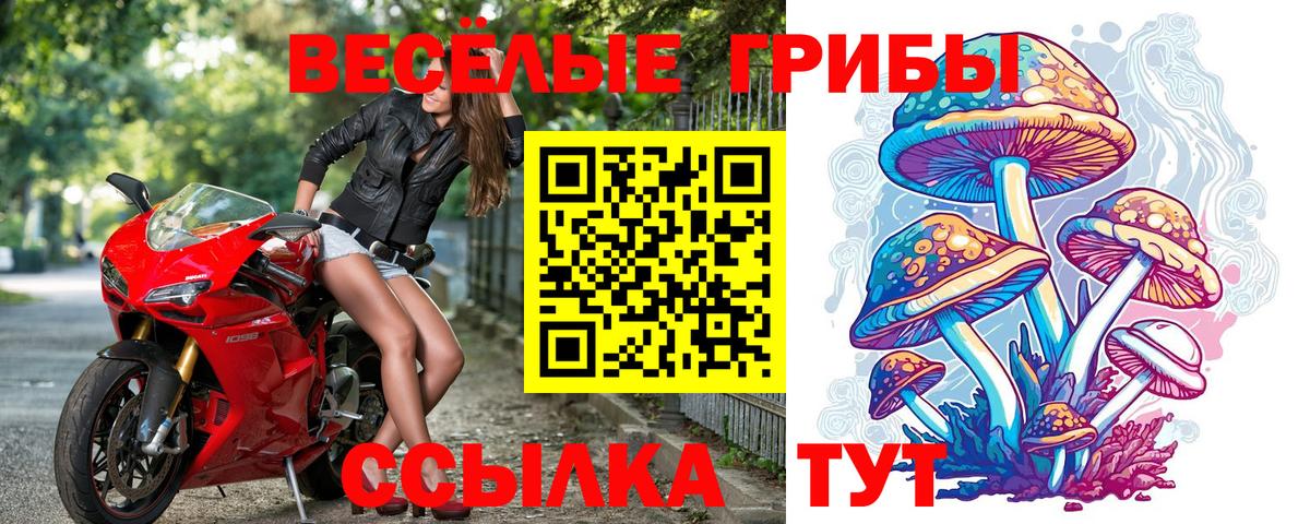 Галлюциногенные грибы мицелий  Галлюциногенные грибы GOLDEN TEACHER  магазин  наркотиков  Жуковский  Вход с VPN 